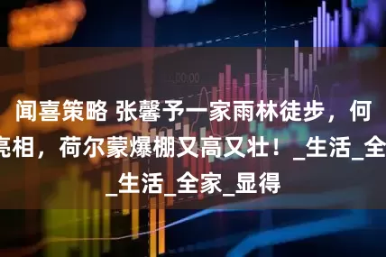 闻喜策略 张馨予一家雨林徒步,何捷背心亮相,荷尔蒙爆棚又高又壮!_生活_全家_显得